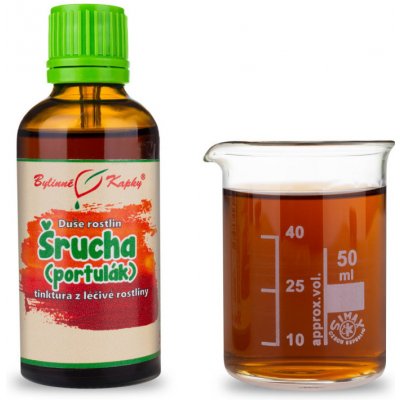 Šrucha portulák kapky Duše rostlin tinktura 50 ml – Hledejceny.cz