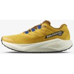 Salomon aero glide 3 GRVL – Zboží Dáma