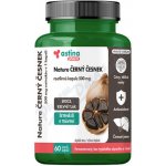 Astina Nature ČERNÝ ČESNEK 500 mg 60 kapslí – Hledejceny.cz