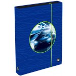 Oxybag A4 Jumbo Oxy Go Květiny 9-97024 – Zboží Mobilmania