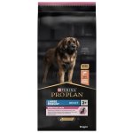 Purina Pro Plan Large Adult Robust Sensitive Skin losos 14 kg – Zboží Mobilmania