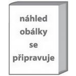 Minipřáníčko - Miluji Tě oranžové /5x9cm – Zbozi.Blesk.cz