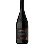 Tarapacá Carmenere Etiqueta Negra Gran Reserva 2021 14% 0,75 l (holá láhev) – Hledejceny.cz