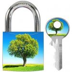 Master Lock 3430EURDAST_tree – Zboží Mobilmania