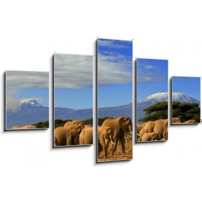 Obraz pětidílný 5D - 125 x 70 cm - Kilimanjaro And Elephants Kilimanjaro a sloni – Zbozi.Blesk.cz