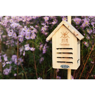 Esschert Design Dům pro berušky dřevěný přírodní – HobbyKompas.cz