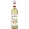 Šťáva Monin Ginger 1 l