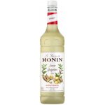 Monin Ginger 1 l – Zboží Mobilmania