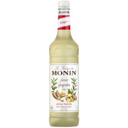 Monin Ginger 1 l