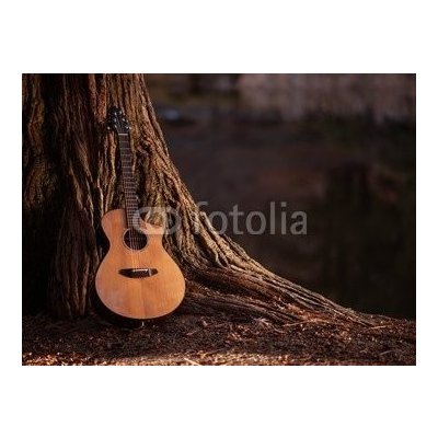 WEBLUX 75669233 Samolepka fólie Wooden Acoustic Guitar Dřevěná akustická kytara rozměry 270 x 200 cm – Zbozi.Blesk.cz