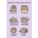 Plakát, Obraz - Pusheen - Reasons to be a Cat, 61 × 91.5 cm – Zboží Dáma