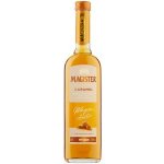 Magister Caramel 22% 0,5 l (holá láhev) – Sleviste.cz