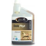 Horse Master DoloPhyt 0,9 l – Hledejceny.cz