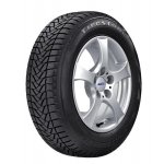 Firestone Winterhawk 175/65 R13 80T – Hledejceny.cz