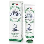 Pasta del Capitano 1905 Natural Herbs 75 ml – Hledejceny.cz