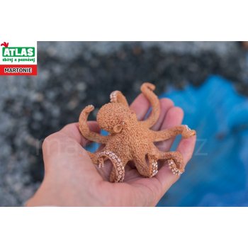 Atlas D Chobotnice