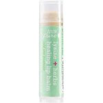 100% Pure Balzám na rty Lysin a bylinky 4,25 g – Zboží Dáma