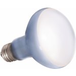 Hagen Exo Terra Daylight Basking Spot 75 W – Zboží Dáma