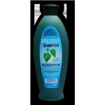 Herbavera šampon březový 550 ml – Sleviste.cz