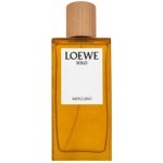 Loewe Solo Mercurio parfémovaná voda pánská 100 ml – Hledejceny.cz