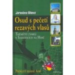 Osud s pečetí rezavých vlasů - Jaroslava Říhová – Hledejceny.cz