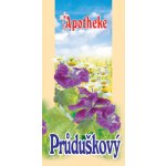 Apotheke průduškový 20 x 1 .5 g – Sleviste.cz