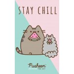 Carbotex Dětský ručník Kočička Pusheen Stay Chill 30 x 50 cm – Zboží Mobilmania