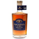 Magnífica Cachaça Reserva Soleira 43% 0,7 l (tuba) – Sleviste.cz