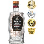 Radlík Višňovice 45% 0,5 l (holá láhev) – Zboží Dáma