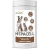 Vitamíny pro psa Dromy Hepacell 60 tbl