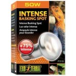 Hagen Day Glo Tight Beam 50 W – HobbyKompas.cz