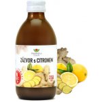 EkoMedica Zázvor s citronem 250 ml – Hledejceny.cz