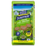 Forestina Substrát Palmy a jiné pokojové rostliny 20 l – Zboží Dáma