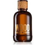 Dsquared2 Wood toaletní voda pánská 100 ml – Sleviste.cz