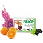 NATURHOUSE FLUICIR VITIS 60 kapslí – Hledejceny.cz