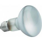 Philips Massive Spotone E27 60W NR63 – Sleviste.cz