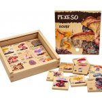 Dřevěné pexeso Houby – Hledejceny.cz