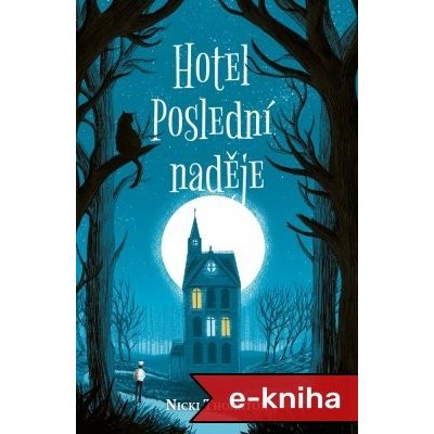 Hotel Poslední naděje - Nicki Thornton