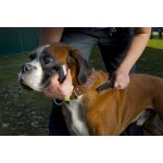 JK ANIMALS Hřeben extra hustý 20 cm – Sleviste.cz