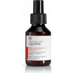 Collistar Hair VITAMIN C Gloss Spray Brightening Revitalizing sprej na vlasy s vitaminem C 100 ml – Hledejceny.cz