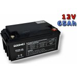 Goowei Energy OTL65-12 65Ah 12V