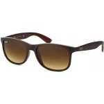 Ray-Ban RB4202 6073 13 – Hledejceny.cz