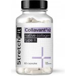 Kolagen Collavant n2 StretchFit 60 kapslí – Hledejceny.cz