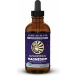 Sun Warrior Magnesium Liquid 118 ml – Hledejceny.cz