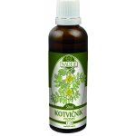 Naděje T19 Kotvičník pozemní bylinná tinktura 50 ml – Hledejceny.cz