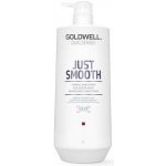 Goldwell Dualsenses Just Smooth Taming Conditioner 1000 ml – Zboží Mobilmania