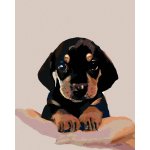 ZUTY Malování podle čísel ŠTĚNĚ KRÁTKOSRSTÉHO JEZEVČÍKA 40 x 50 cm – Sleviste.cz