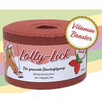 S.I.N. Hellas Lízátko pro koně Lolly Lick Imunita šípek 0,75 kg – Zboží Dáma