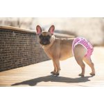 Vsepropejska Marine Hárací kalhotky pro psa Červená slabin 30 40 cm – Hledejceny.cz