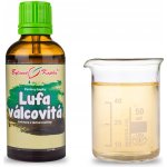 Bylinné kapky Pavlovy Lufa válcovitá TCM tinktura 50 ml – Hledejceny.cz